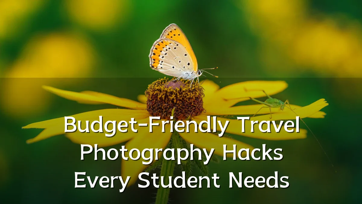 Budget-Friendly Travel Photography Hacks Every Student Needs