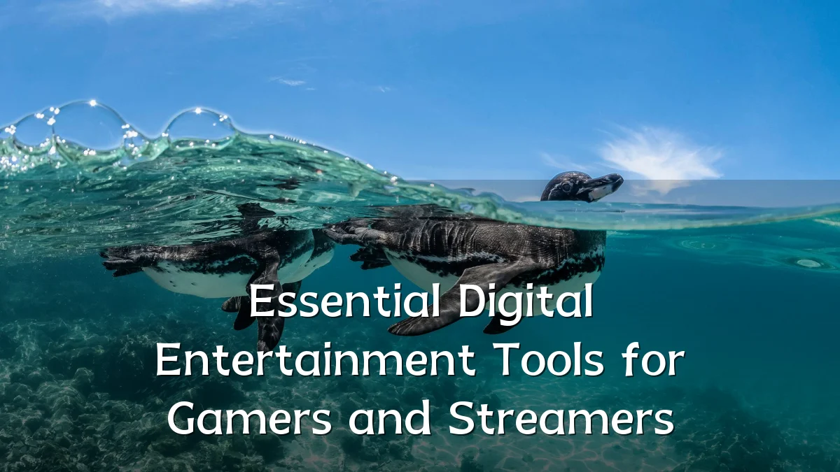 Essential Digital Entertainment Tools for Gamers and Streamers