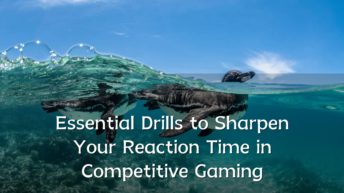 Essential Drills to Sharpen Your Reaction Time in Competitive Gaming
