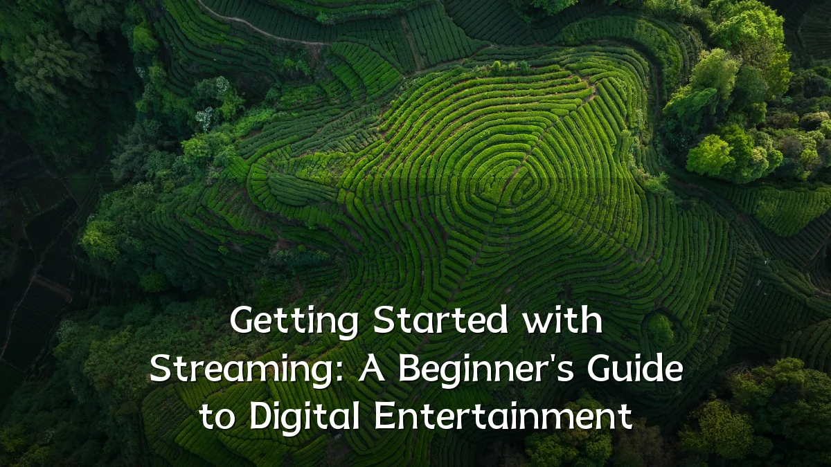 Getting Started with Streaming: A Beginner's Guide to Digital Entertainment