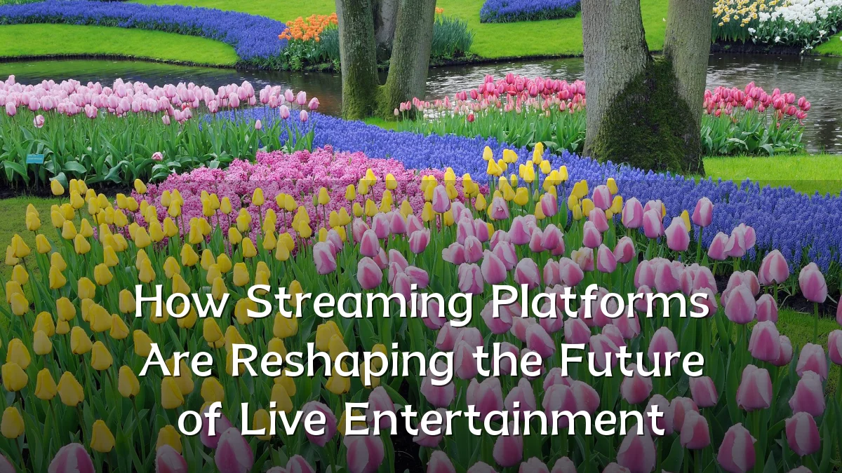 How Streaming Platforms Are Reshaping the Future of Live Entertainment
