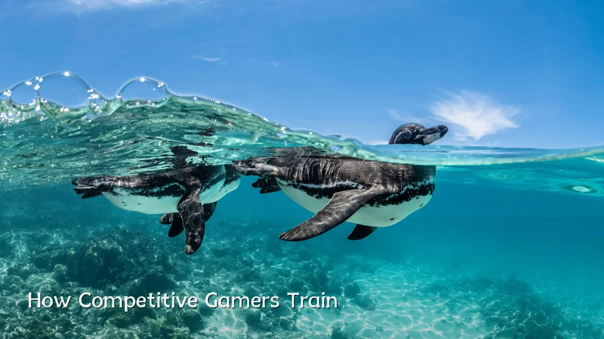 How Competitive Gamers Train