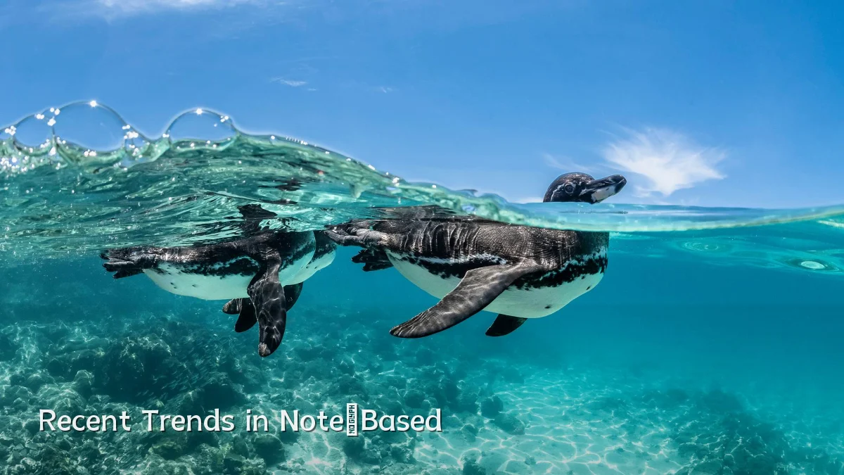 Recent Trends in Note‑Based