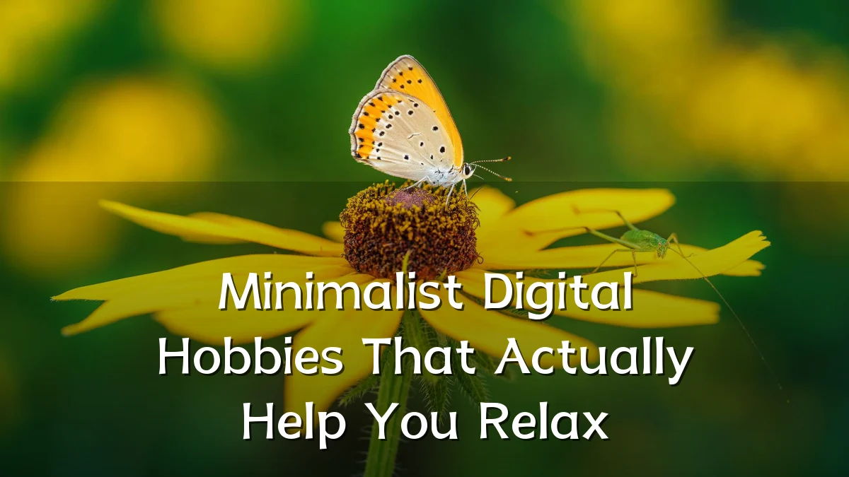 Minimalist Digital Hobbies That Actually Help You Relax