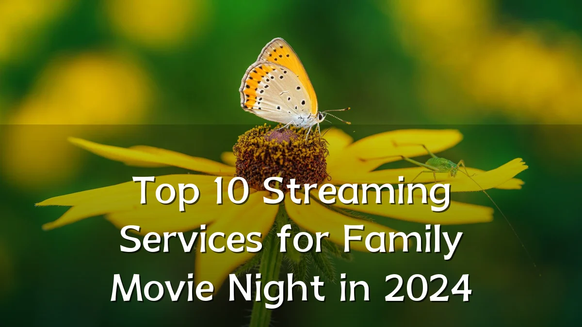 Top 10 Streaming Services for Family Movie Night in 2024