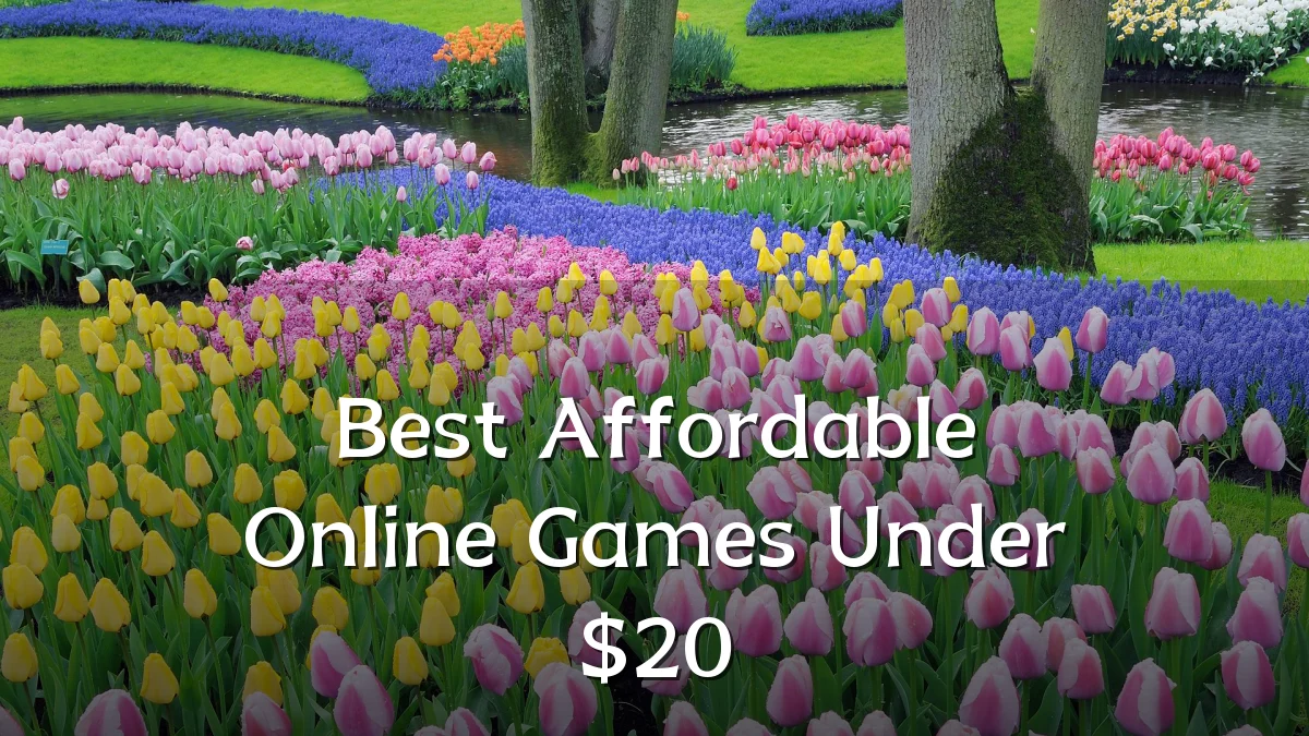 Best Affordable Online Games Under $20