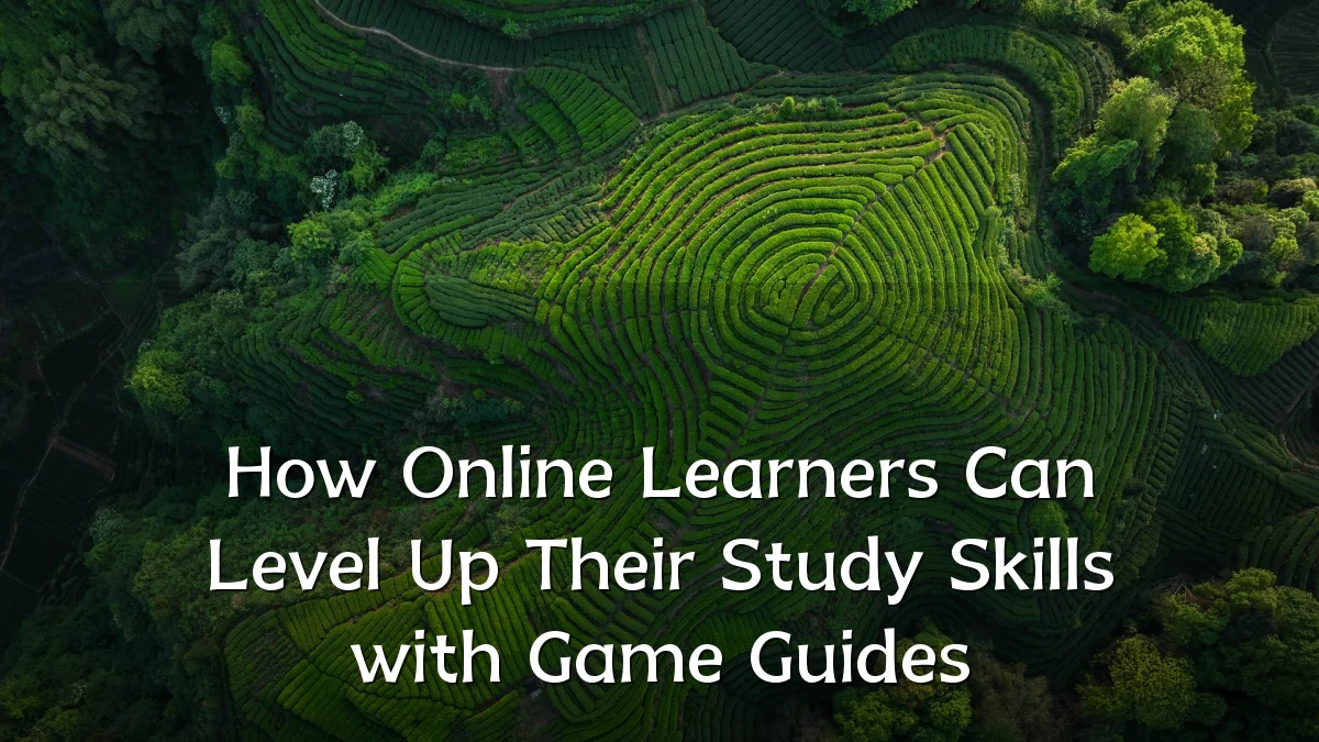 How Online Learners Can Level Up Their Study Skills with Game Guides