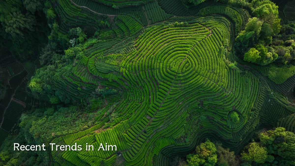 Recent Trends in Aim