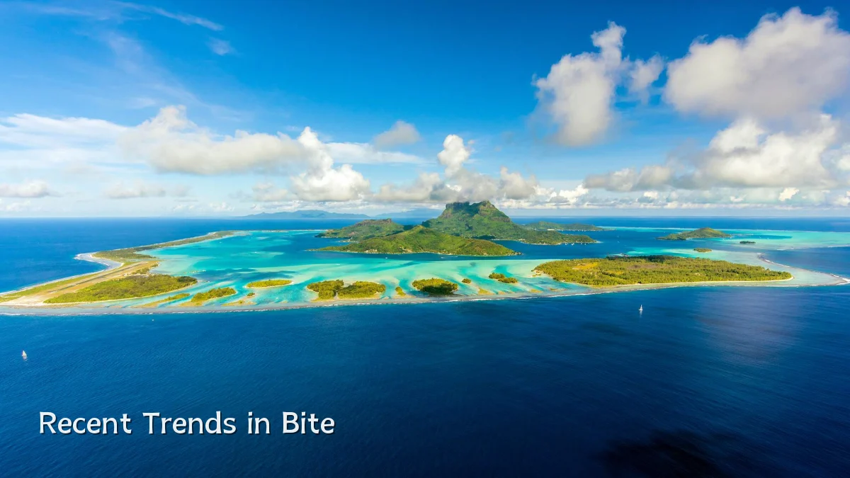 Recent Trends in Bite
