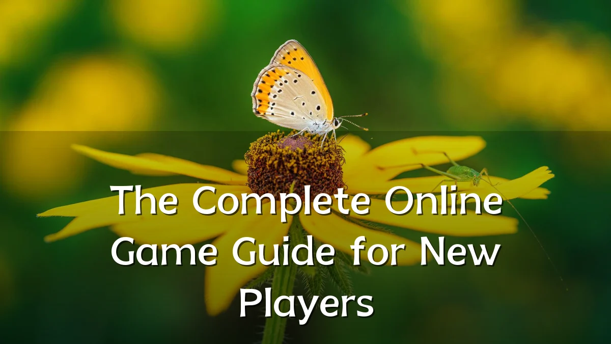 The Complete Online Game Guide for New Players