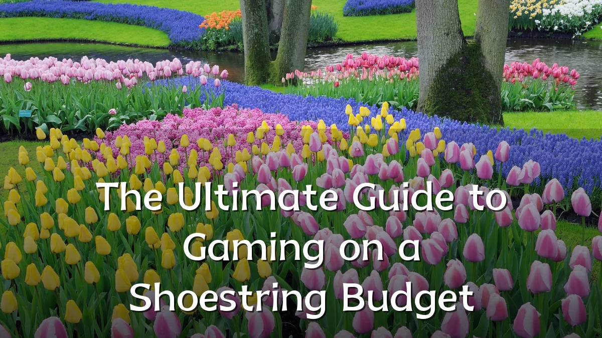 The Ultimate Guide to Gaming on a Shoestring Budget